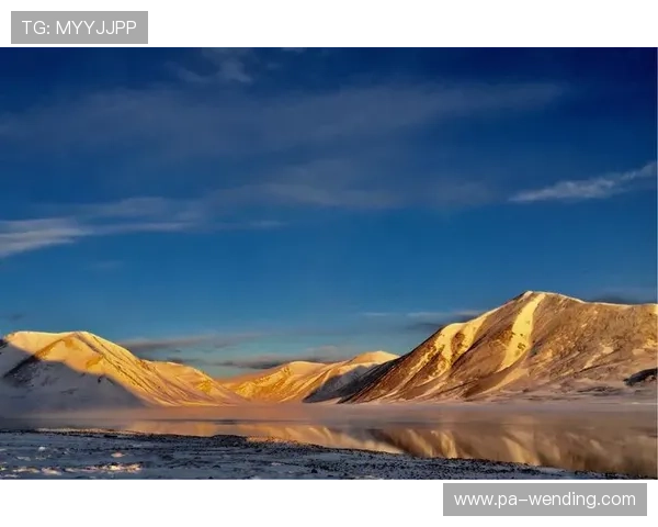 开云体育官网登录入口详细流程介绍，提供完整的登录步骤和常见问题解答方案
