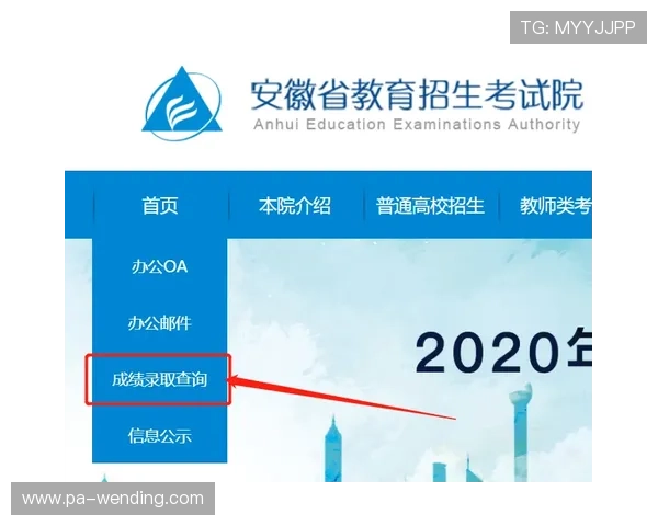 问鼎官方客户端下载途径大全，快速找到官方正版资源的最佳选择