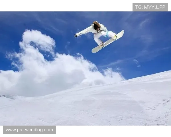 开云完美体育真人游戏引领行业健康发展的创新平台