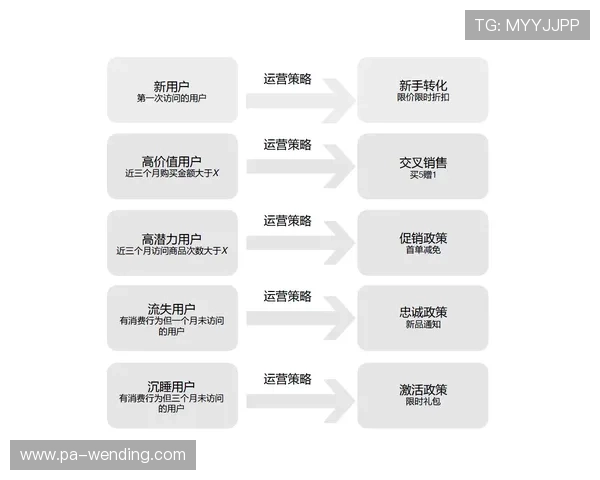 问鼎旗下娱乐平台的成功案例与运营策略分享