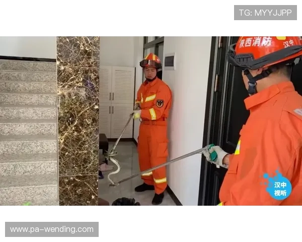 杏彩体育彩票注册安全保障措施，保障用户资金与个人信息安全