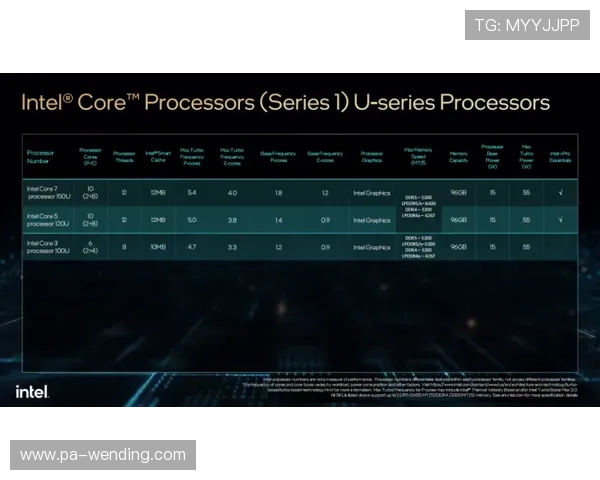 问鼎电子游戏官网的客服支持体系全解析，解决玩家疑问与技术问题