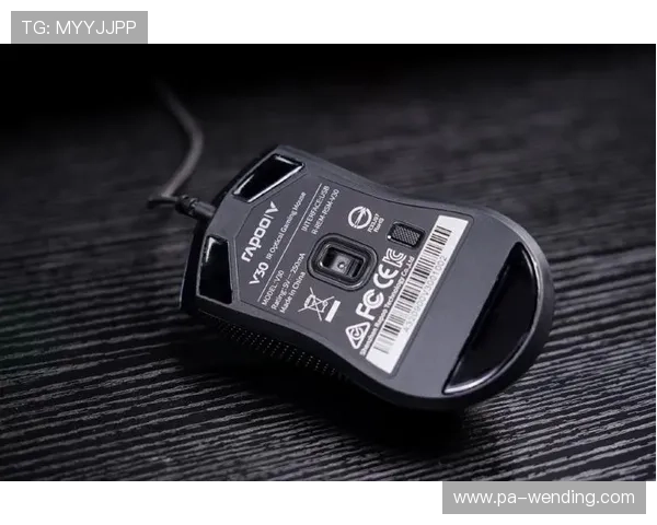 问鼎登陆h5：最新版本更新内容解析帮助玩家把握游戏发展趋势提升竞争力